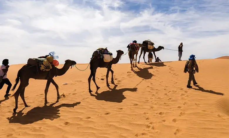 Camel racing and camel riding in Qatar