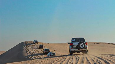 Best Desert activities & Safari Tour Activities in Doha