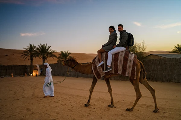 Camel riding and gambling in Qatar