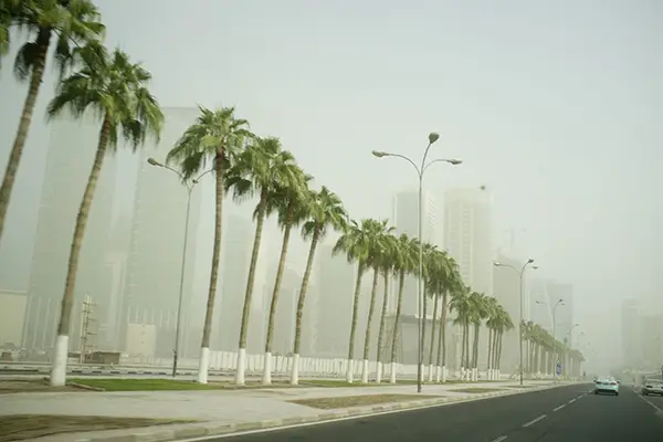 Qatar Climate Guide