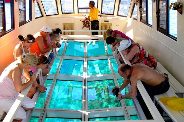 Underwater Zoo