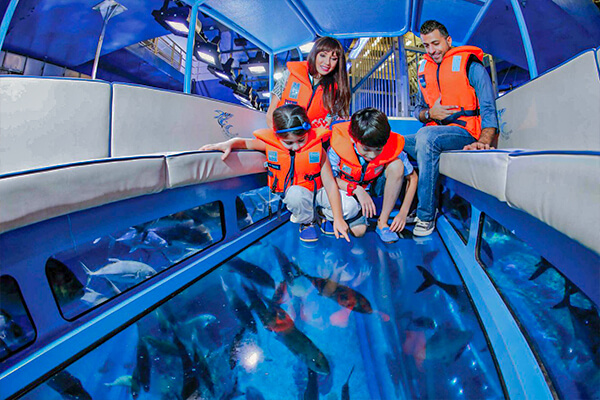 Underwater Zoo