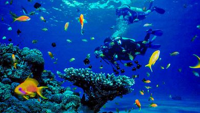 Best water sports in Qatar