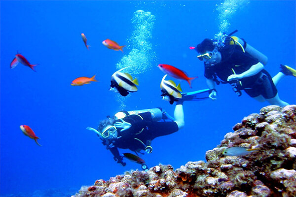 Scuba diving in the waters of Qatar