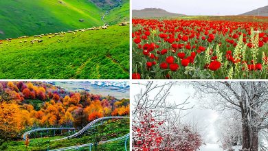 Iran’s climate
