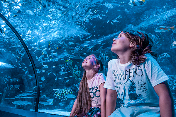 Antalya Aquarium's incredible facilities for children