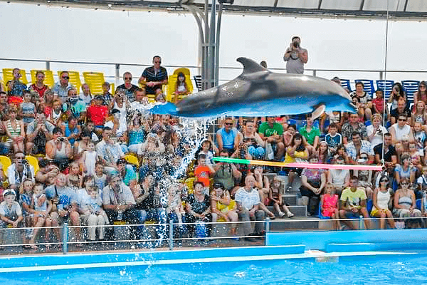 Istanbul Dolphinarium