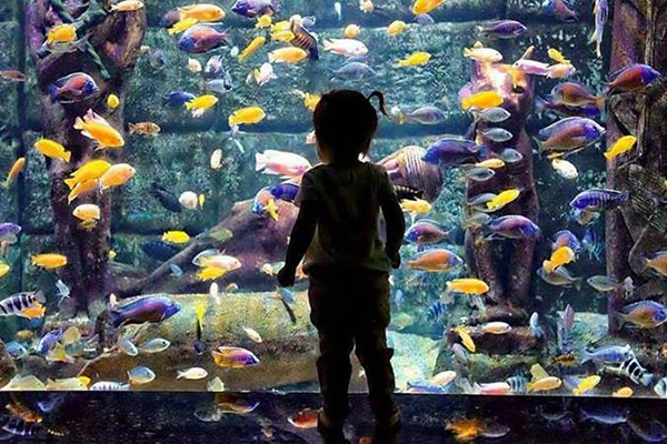 Antalya Aquarium, Turkey
