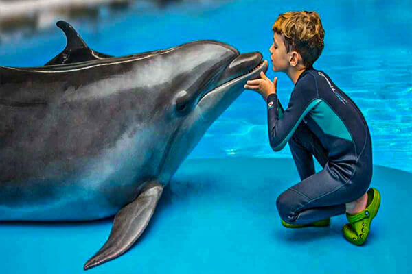 children & dolphins friendship - Istanbul Dolphinarium