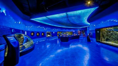 Istanbul Florya Aquarium, Turkey