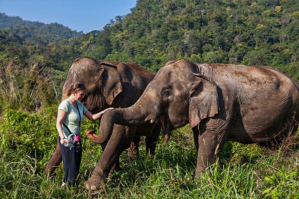 The Chiang Mai Elephant Nature Park