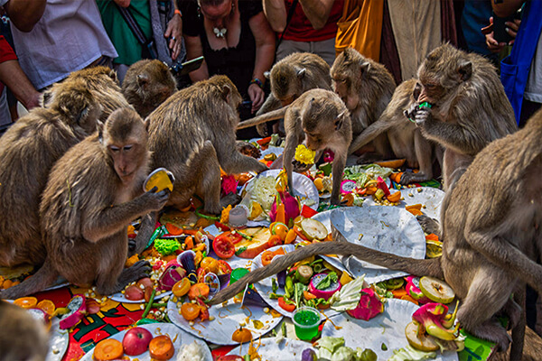 Monkeys control Lopburi