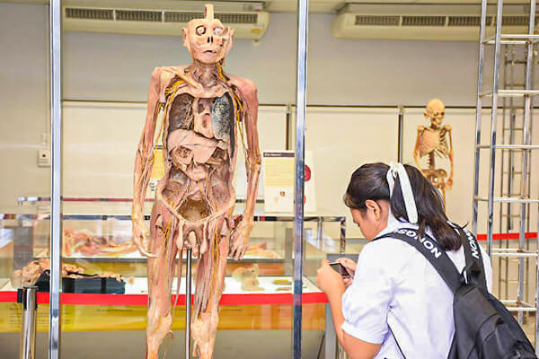 Museum of Human Body