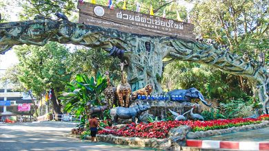 Chiang Mai Zoo
