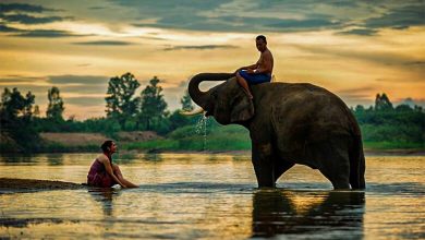 Thailand Interesting Facts