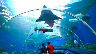 Underwater World Pattaya Aquarium, Thailand