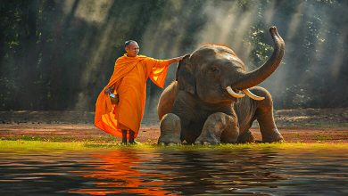 Everything about Thailand