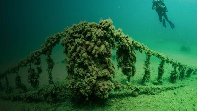 Scuba Diving in Gallipoli Peninsula