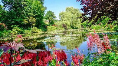 Giverny Garden: Claude Monet’s Home