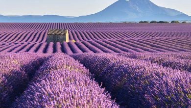 France nature