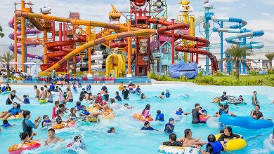 Top 7 Pattaya theme parks & waterparks