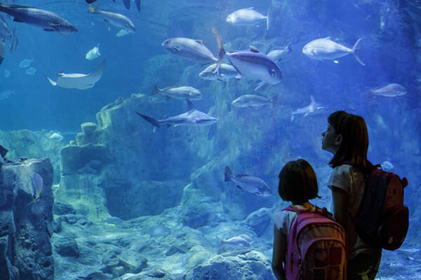 View of Aquarium de Paris