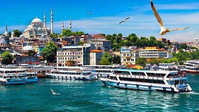 Istanbul Bosphorus Strait and Bosphorus Cruises