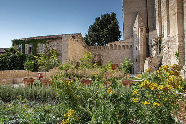 The Gardens of the Papes in Avignon