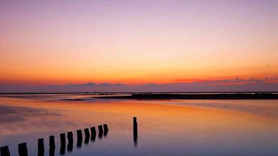 The Camargue Regional Natural Park