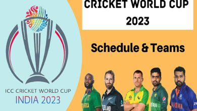 Rising to the Challenge: ICC Cricket World Cup 2023