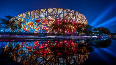 The Bird’s Nest: Where Sports and Art Converge