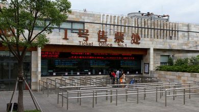 A Journey Through Shanghai Zoo’s Animal Kingdom