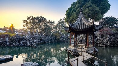 Discover the Serenity of Classical Gardens in Suzhou