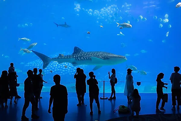 Beijing Haiyangguan Aquarium, the world's largest aquarium on land