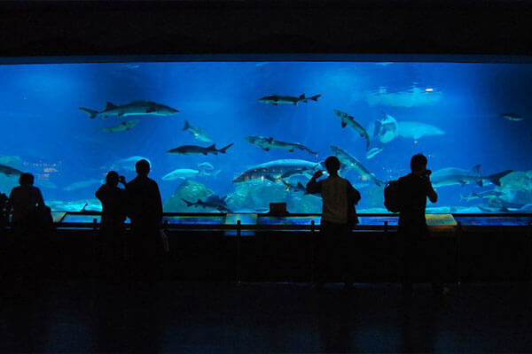 Haiyangguan Aquarium in Beijing, China