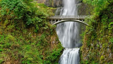Multnomah Falls: A Natural Wonder You Must See