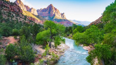 Our Ultimate Guide to the Top 17 USA National Parks!