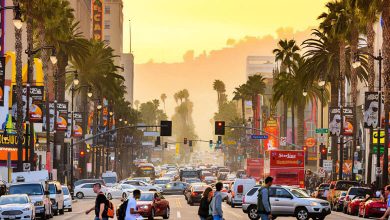 Santa Monica Bucket List: 12 Attractions You Can’t Miss!