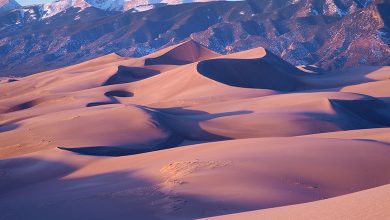 Scaling Star Dune: Tallest Sand Mountain in North America