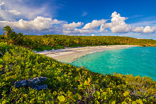 A brief history of Vieques Island in Puerto Rico
