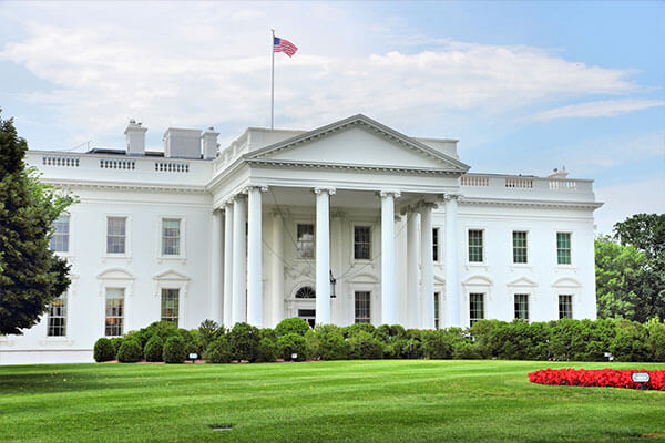 White House View