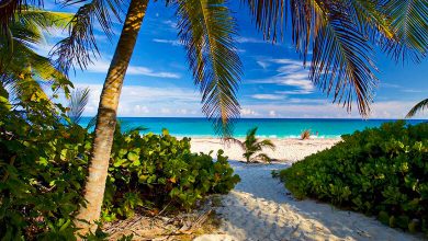 Vieques Island – A Hidden Gem of Puerto Rico