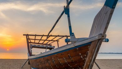 Unwind and Relax at Al Ruwais Beach, Qatar