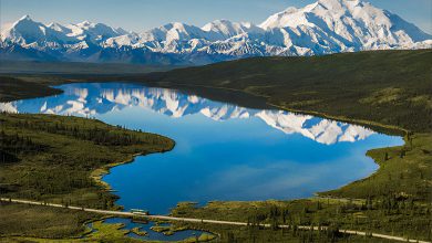 Experience North America’s Tallest Peak at Denali