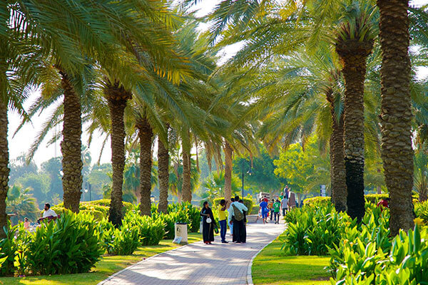 Highlights of Safa Park in Dubai