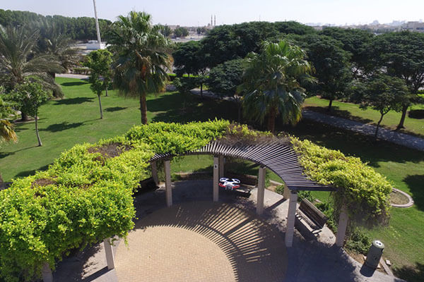 What to do at Al Barsha Pond Park?