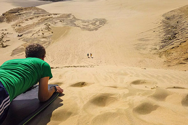 Slide down dunes on a sandboard