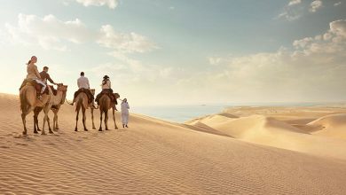 Lost in the Sands: A Journey through the Doha Desert