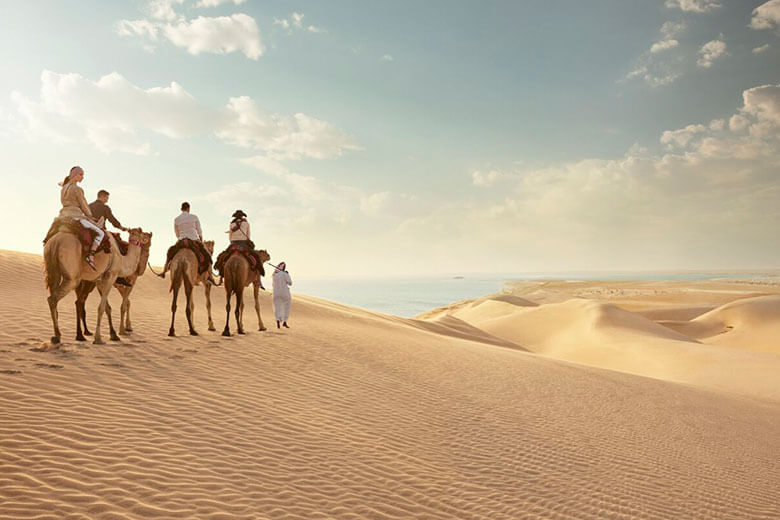Lost in the Sands: A Journey through the Doha Desert