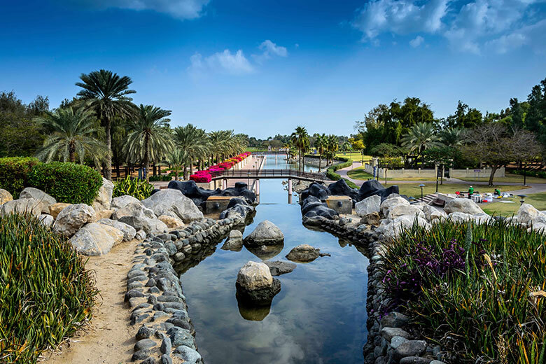 Exploring the Serenity of Safa Park in Dubai
